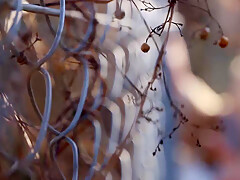 0011415_美魔女 ディープキス セックスなどが含まれている